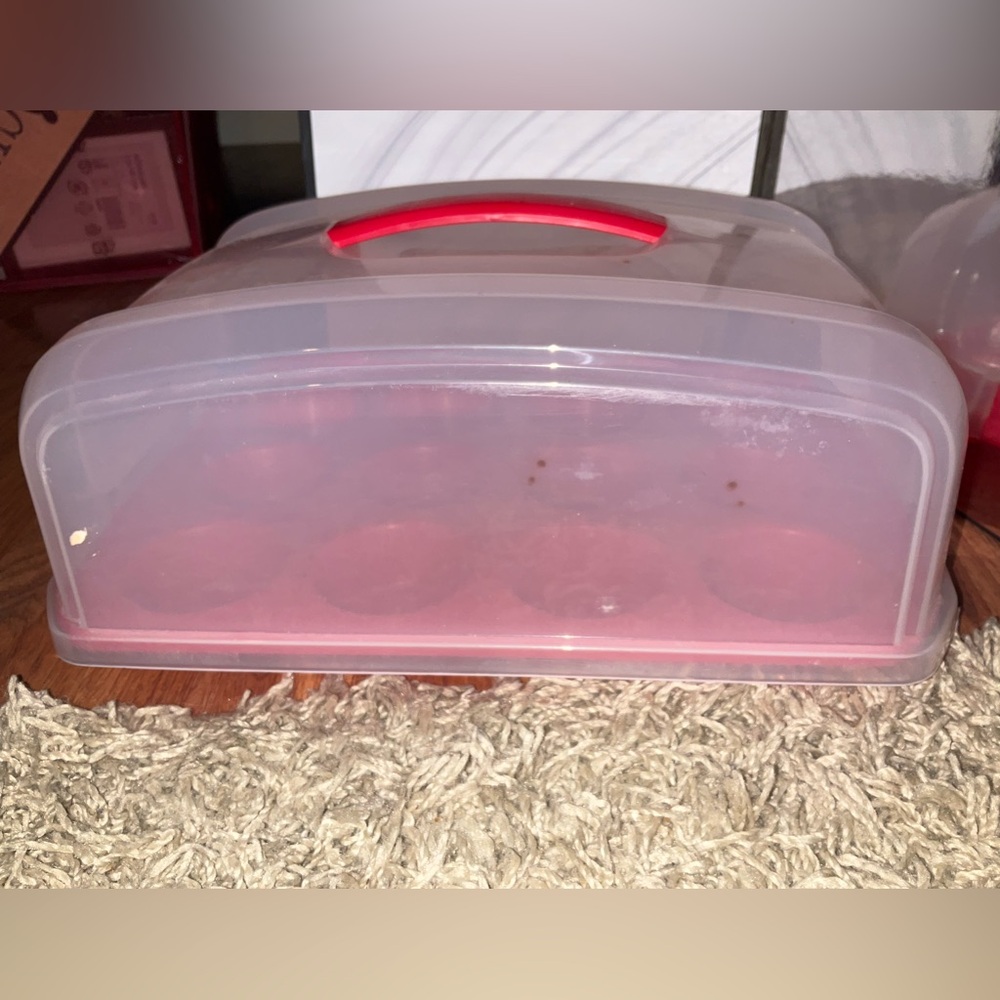 Cupcake Carrier with Clear Lid